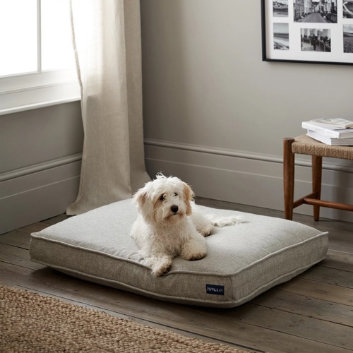 Dog bed for furry friends who are welcome at 8 Water Street