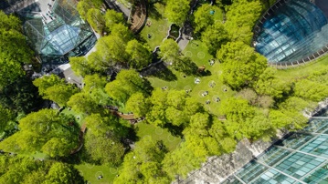 Jubilee park form above won a certification for its well managed green space in Canary Wharf