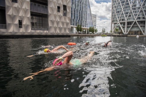 People swimming along Middle Dock open body of water in Canary Wharf