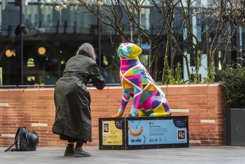 A lady bends down to take a picture of a Paws on The Wharf sculpture displaying a multi-coloured dog